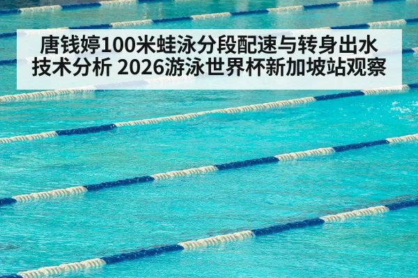 swimming pool lanes